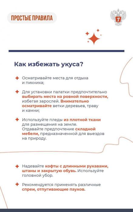 Атака паука осы