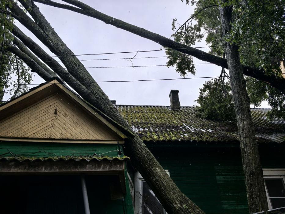 Идрице нанесёт большой урон