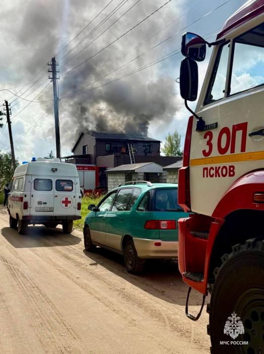 Пять пожаров ликвидировали в Псковской области за выходные