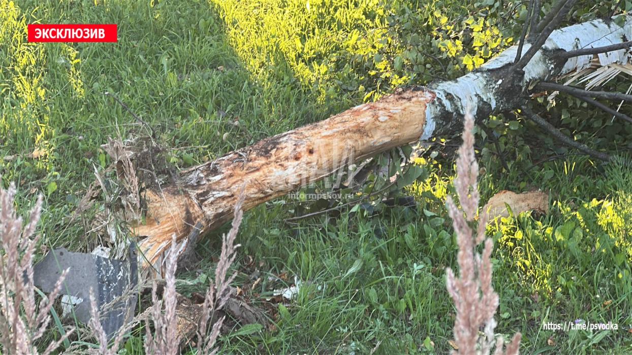 ​В Великих Луках водитель в пьяном виде вылетел в кювет и опрокинулся