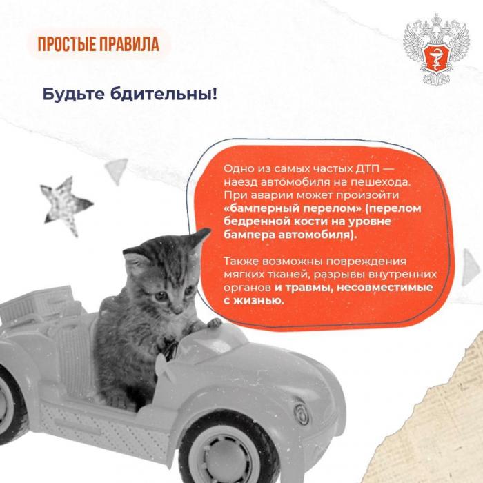 Как избежать травм на дорогах