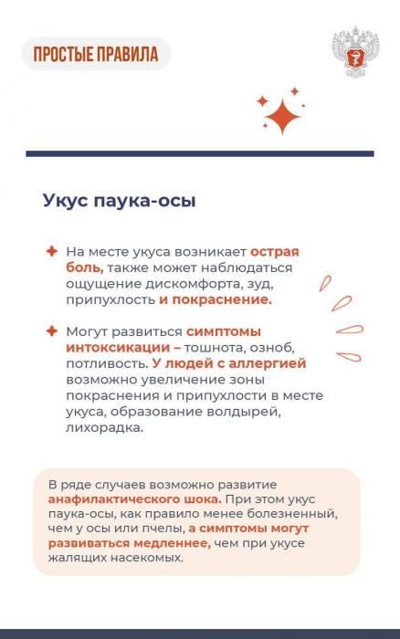 Атака паука осы