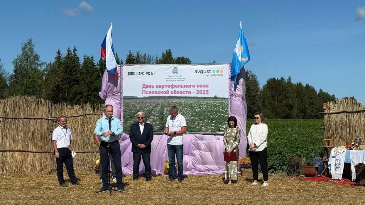День картофельного поля Псковской области 
