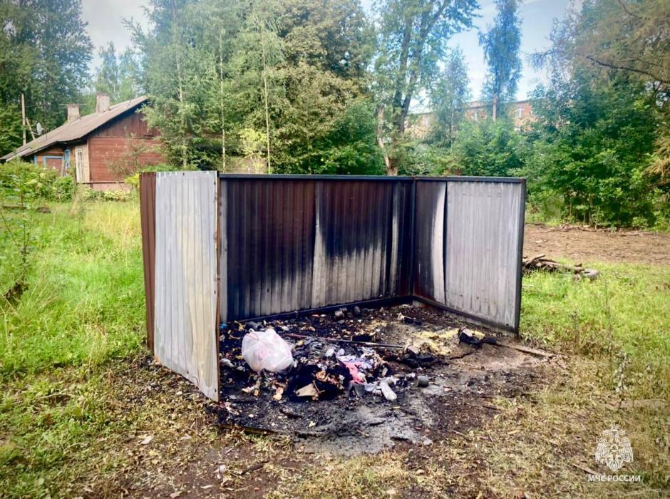 Пять пожаров ликвидировали в Псковской области за выходные