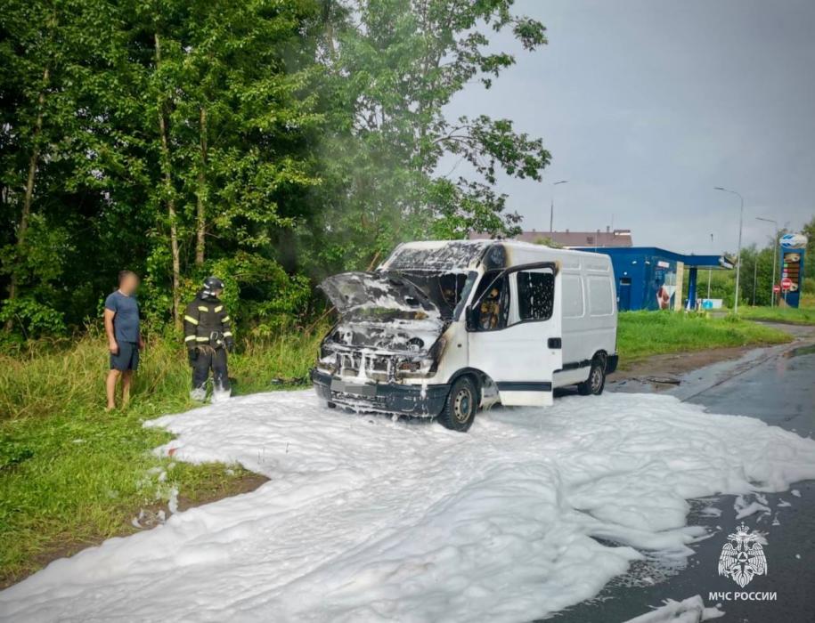 Пять пожаров ликвидировали в Псковской области за выходные