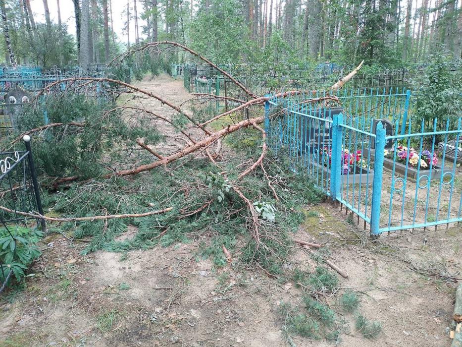 Масштабный субботник организовали в Стругах Красных после урагана