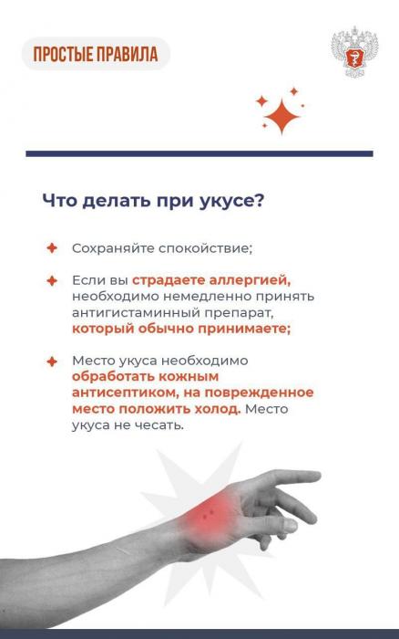 Атака паука осы