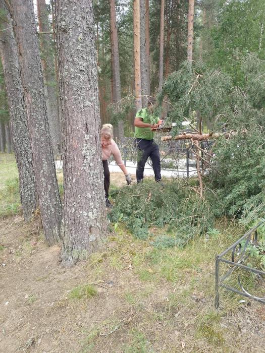 Масштабный субботник организовали в Стругах Красных после урагана