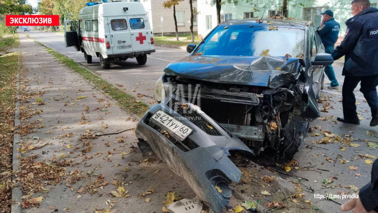Автомобиль протаранил дерево в Стругах Красных 