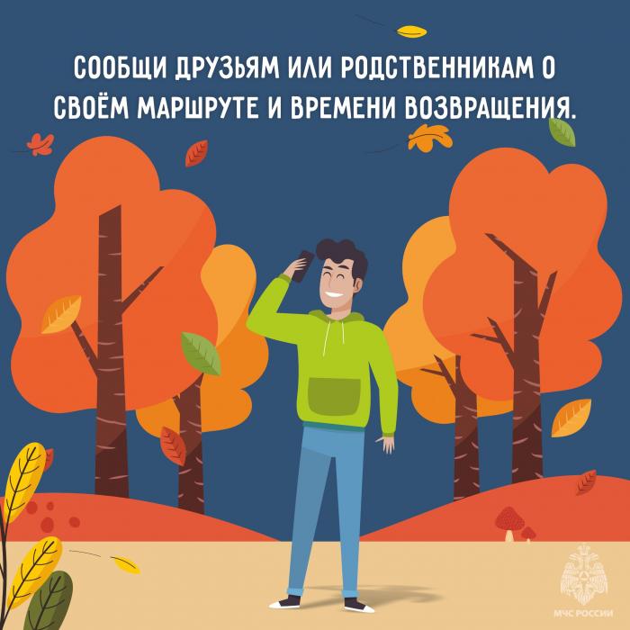 За грибами без потерь: советы МЧС в карточках
