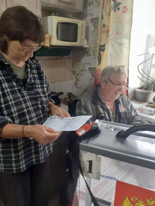 Явка на выборах в Псковской области превысила 20 процентов