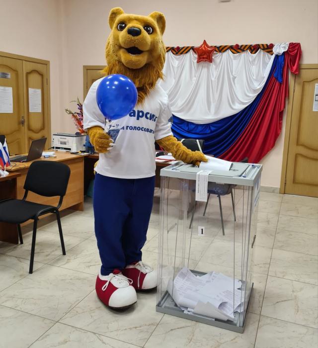 Барсик на выборах