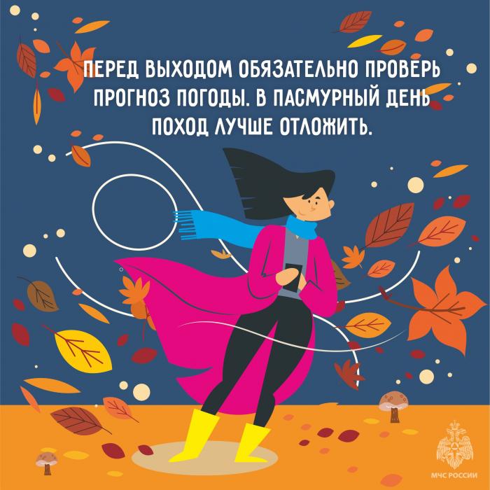 За грибами без потерь: советы МЧС в карточках