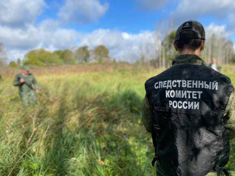 Под Псковом обнаружили захоронение времён войны
