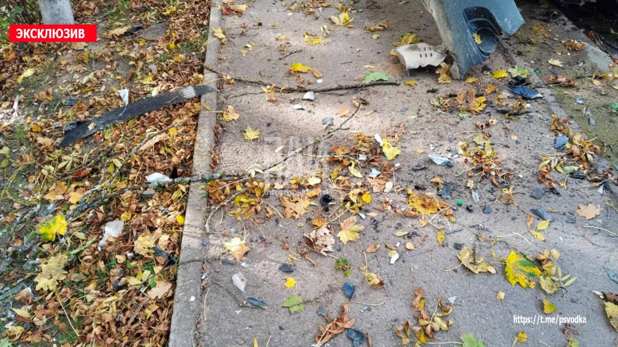 Автомобиль протаранил дерево в Стругах Красных 