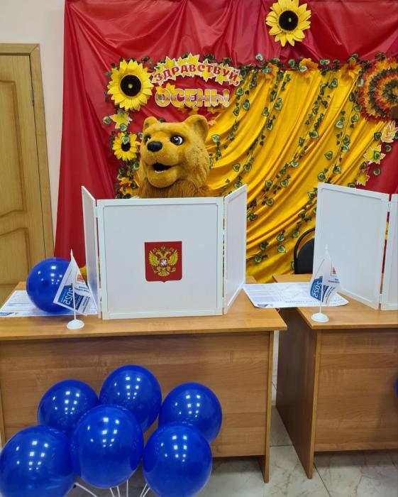 Барсик на выборах