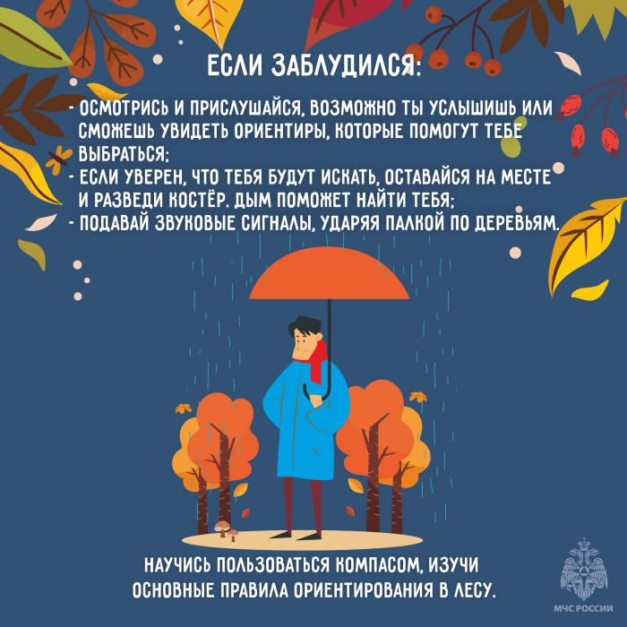 За грибами без потерь: советы МЧС в карточках