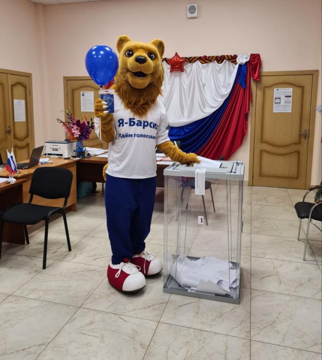 Барсик на выборах
