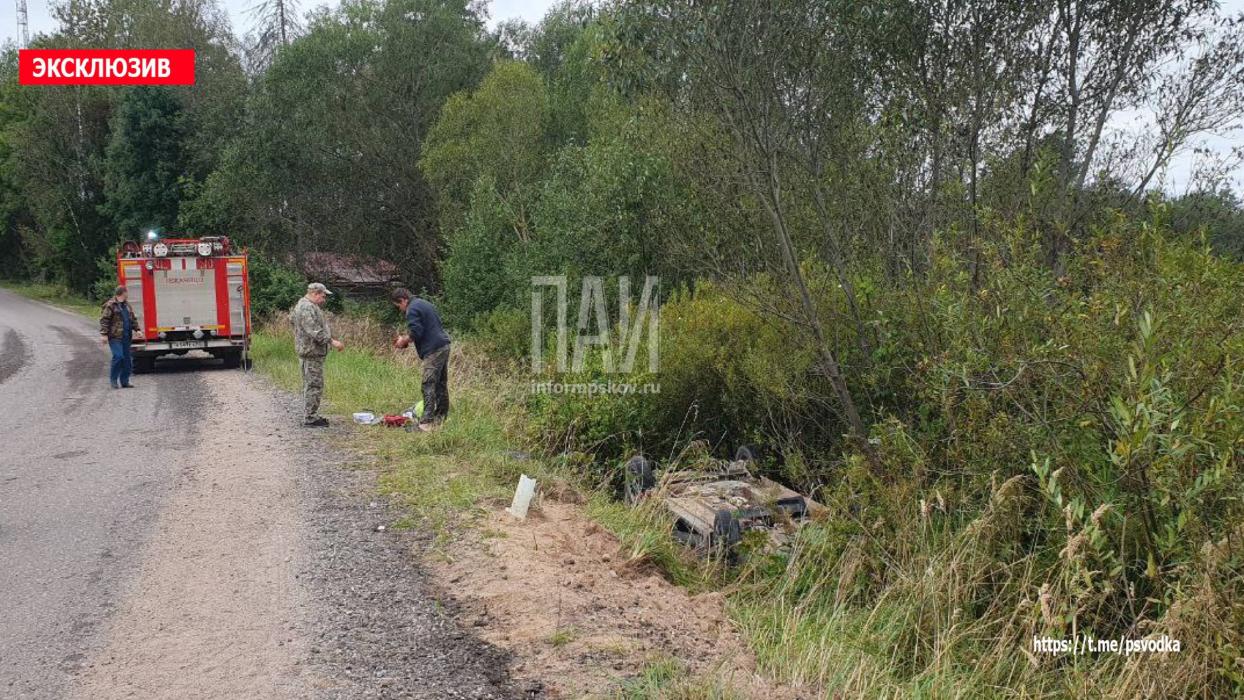Легковушка улетела в кювет в Бежаницком районе
