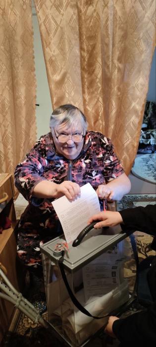 Доля проголосовавших дистанционно на выборах в Псковской области составила более 78%