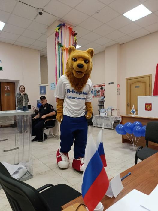 Барсик на выборах