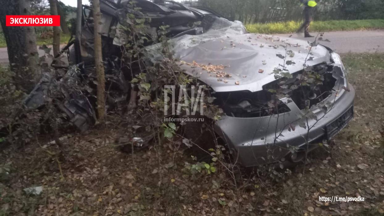 В Опочке молодой человек погиб после столкновения автомобиля с деревом