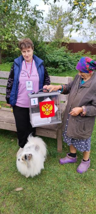 Явка на выборах в Псковской области превысила 20 процентов