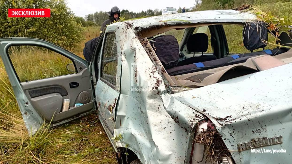 Такси вылетело в кювет в Невельском районе