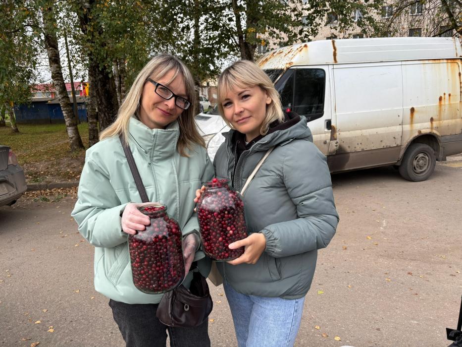 Дедовичи