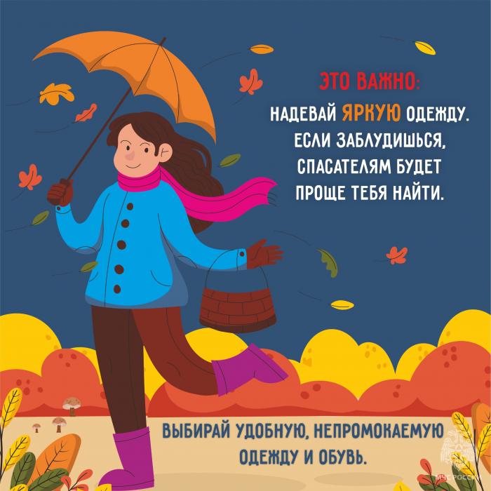 За грибами без потерь: советы МЧС в карточках