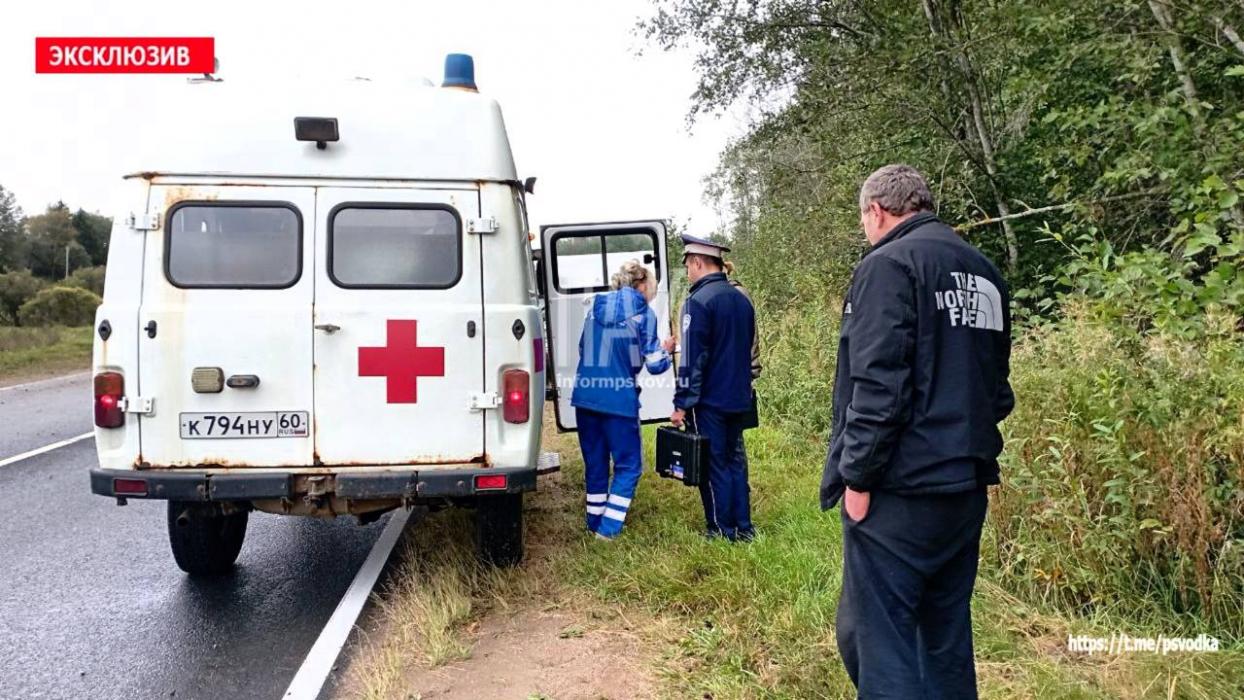 Такси вылетело в кювет в Невельском районе
