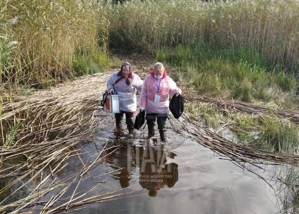 День избирательных комиссий празднуют в Псковской области