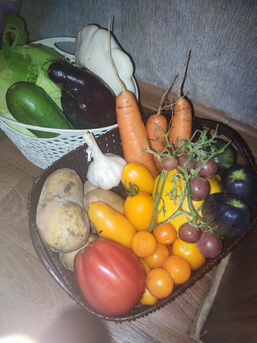 Фестиваль печёной картошки прошёл в Себежском районе