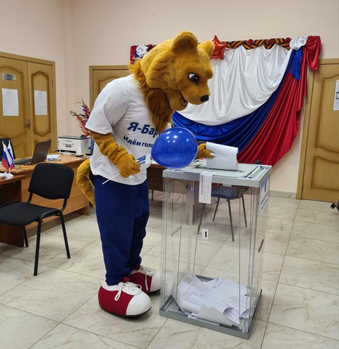 Барсик на выборах
