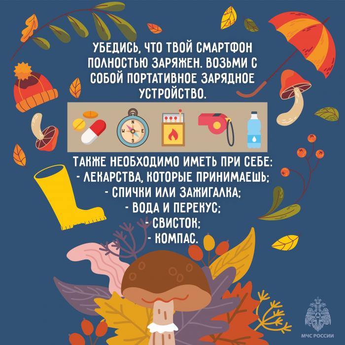 За грибами без потерь: советы МЧС в карточках