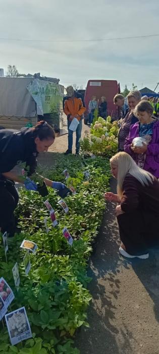 Сельхозярмарка прошла в Новоржевском районе