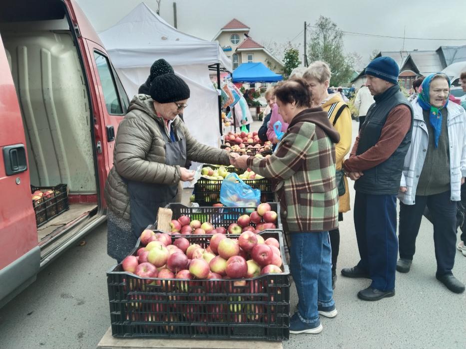 Ярмарка в Стругах Красных