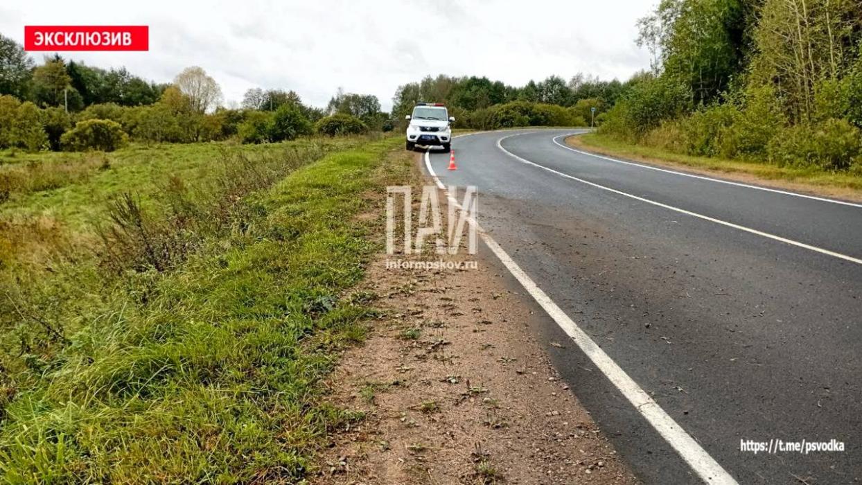 Такси вылетело в кювет в Невельском районе