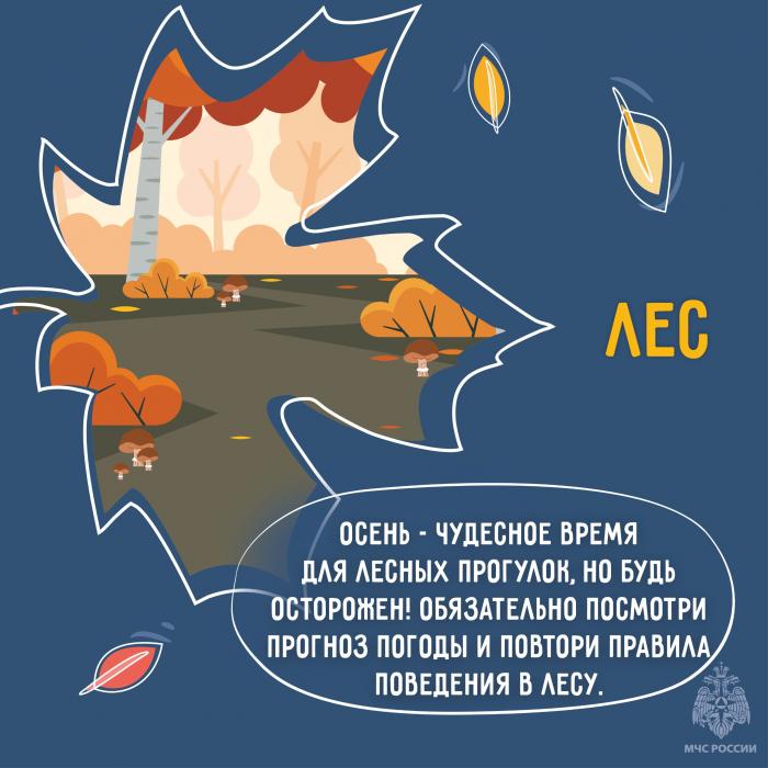 Встречаем осень безопасно: советы МЧС в карточках