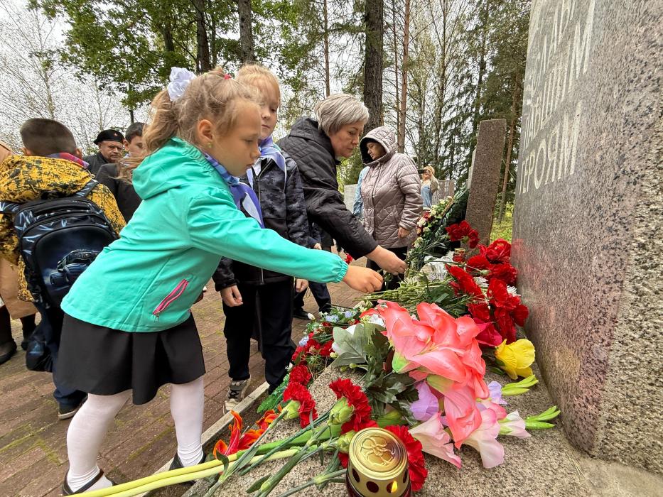 Памятные мероприятия в Плюсском округе