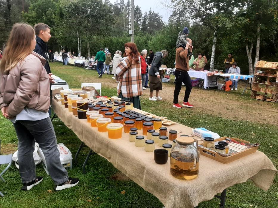 Фестиваль печёной картошки прошёл в Себежском районе