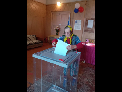 Голосование в Дедовичском муниципальном округе