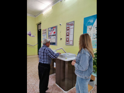 Голосование в Дедовичском муниципальном округе