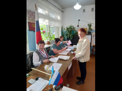Голосование в Дедовичском муниципальном округе