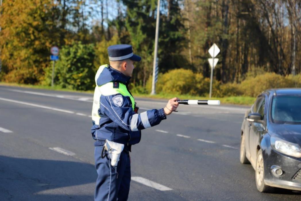 Три угнанных автомобиля выявили псковские полицейские