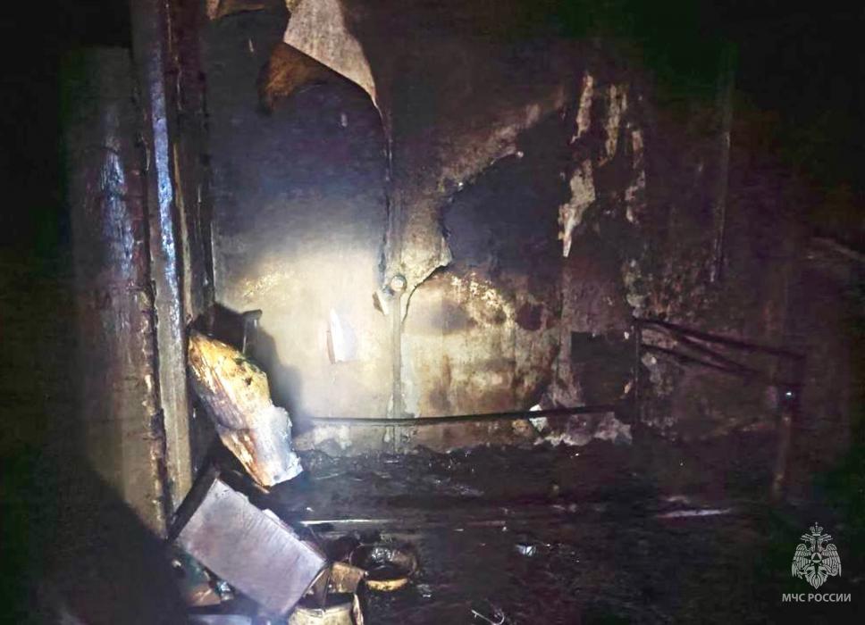 Шесть пожаров ликвидировали в Псковской области за выходные