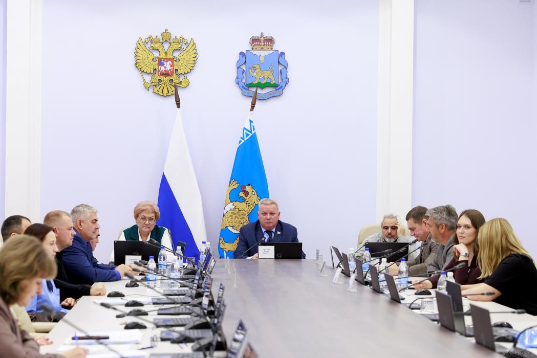 Новую госпрограмму для молодёжи и программу «Земский тренер» обсудили в Собрании