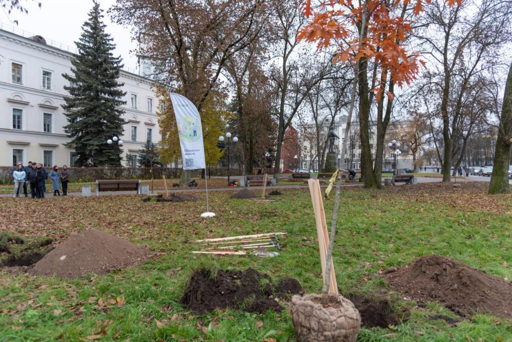 Зелёный вклад. Сбер посадил деревья в центре древнего Пскова