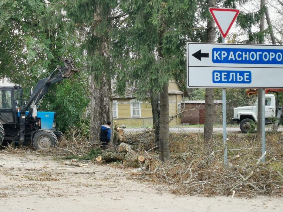 Послевоенный парк благоустроили в Красногородском районе благодаря ТОС