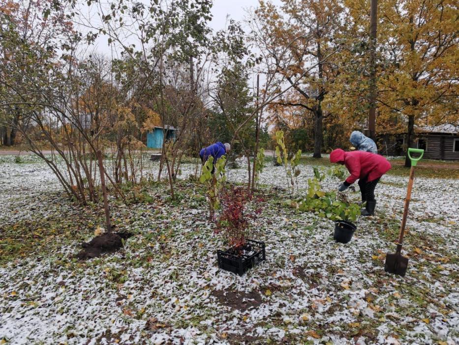 Послевоенный парк благоустроили в Красногородском районе благодаря ТОС